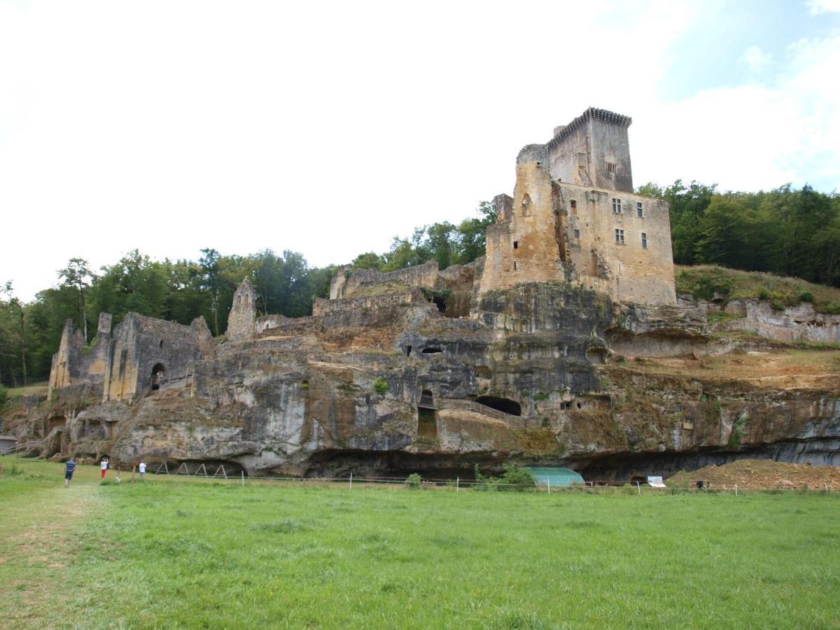 Cozy Cottage In Aquitaine With Private Swimming Pool Peyzac-le-Moustier 外观 照片